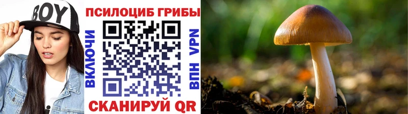 мориарти формула  закладка  Макаров  Галлюциногенные грибы MAGIC MUSHROOMS 